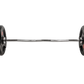 Olympic Curl Bar 120cm