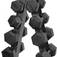 6 Pairs Hex Dumbbells PLUS Dumbbell Rack (105 kg | 2.5kg–15kg | A-shaped Rack)