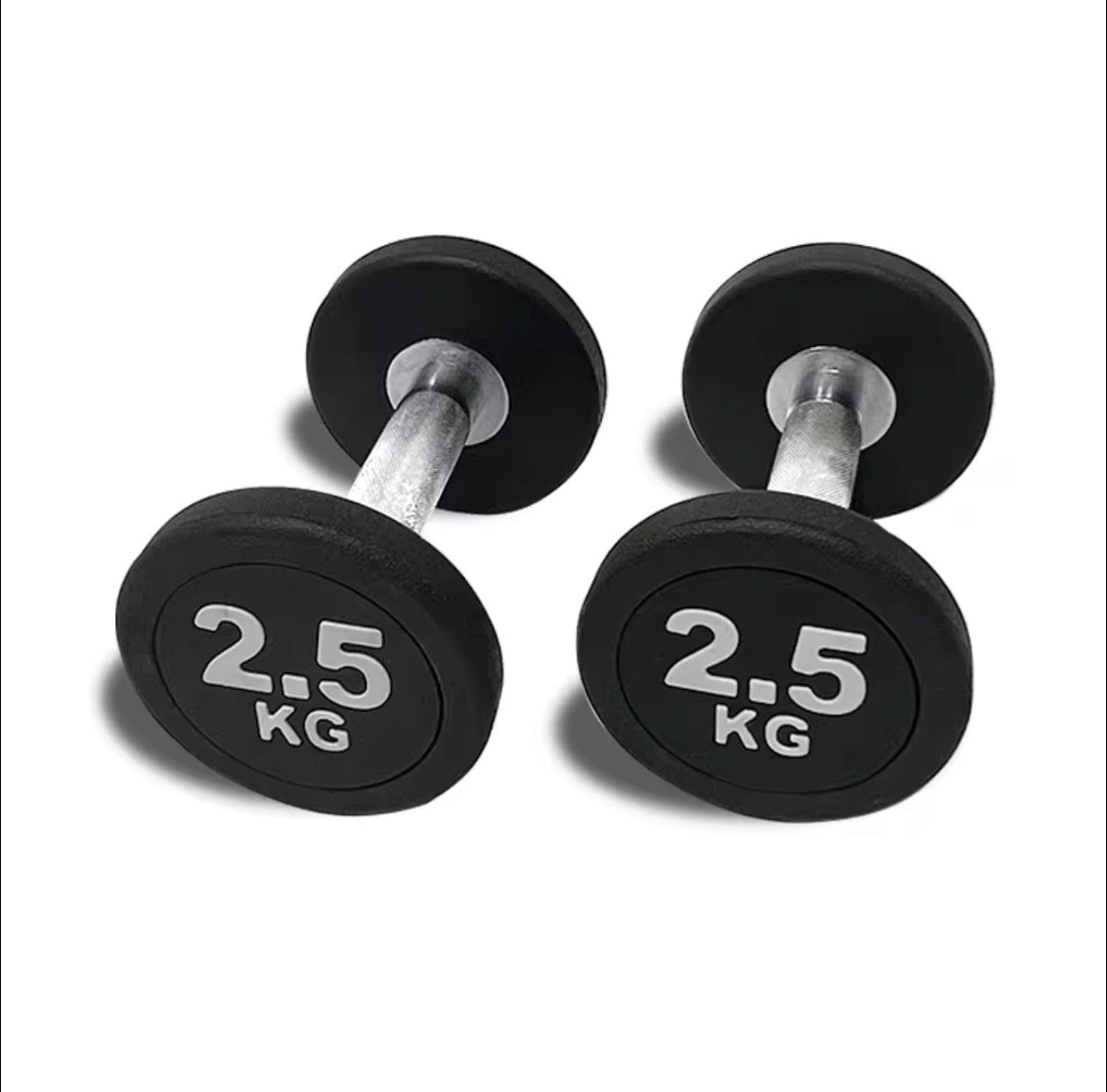CURVE Commercial Round Dumbbells (2.5-40kg)