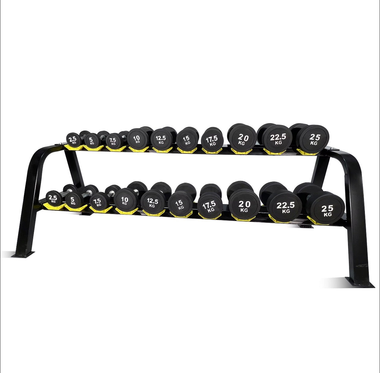 CURVE Commercial Round Dumbbells (2.5-40kg)
