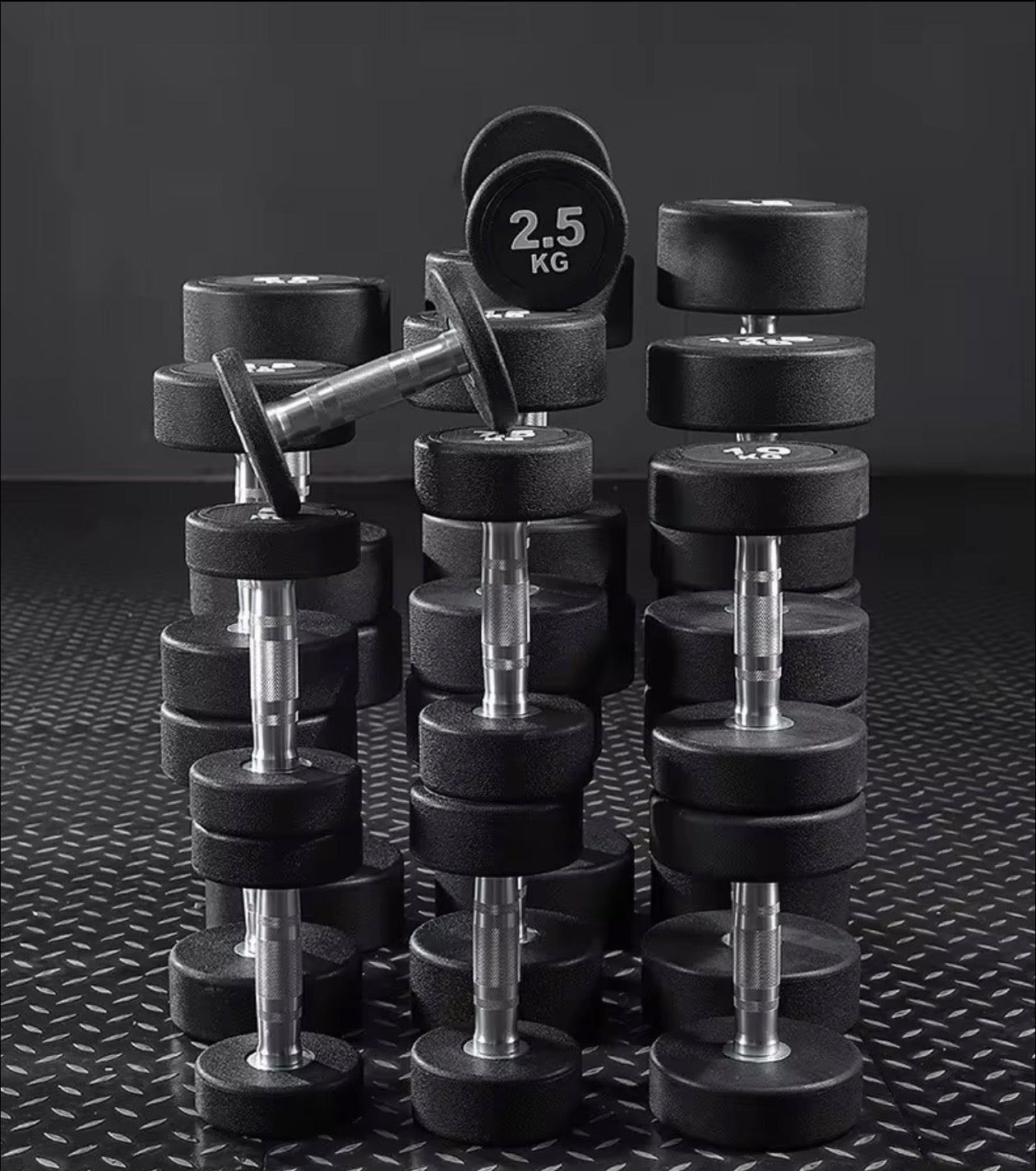 CURVE Commercial Round Dumbbells (2.5-40kg)