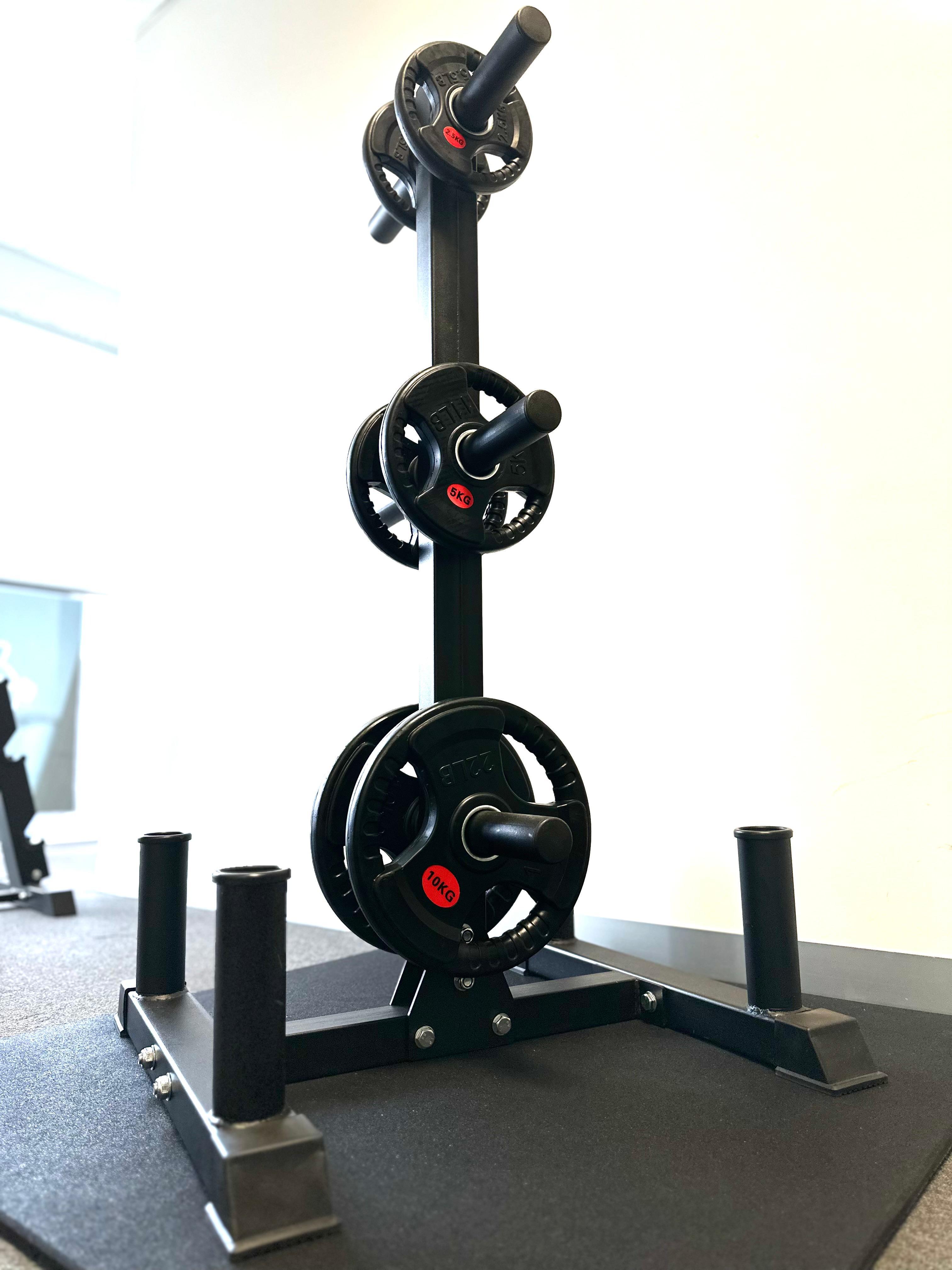 Curve Fitness Multipurpose Weight Storage Tree