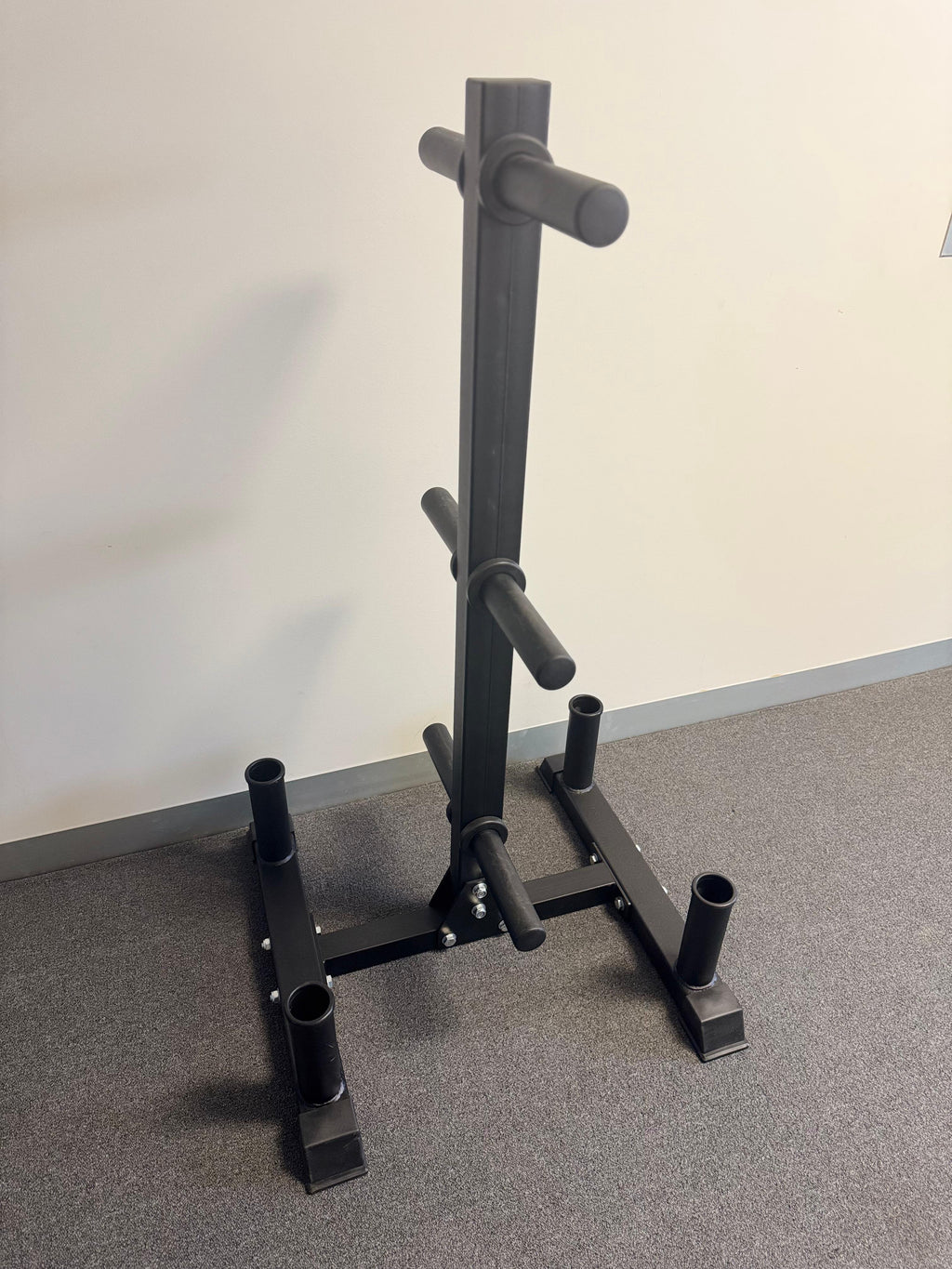 Curve Fitness Multipurpose Weight Storage Tree